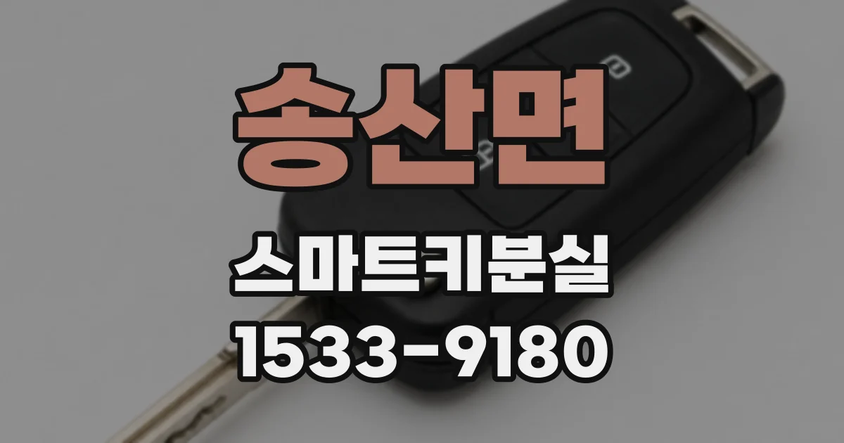 송산면 스마트키분실