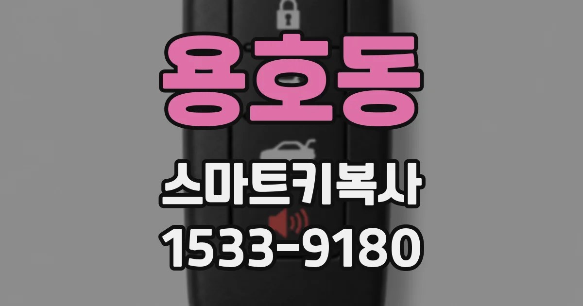 용호동 스마트키복사