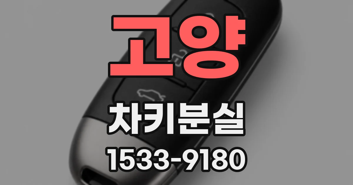 고양 차키분실