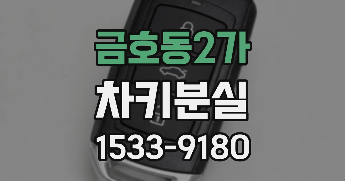 금호동2가 차키분실