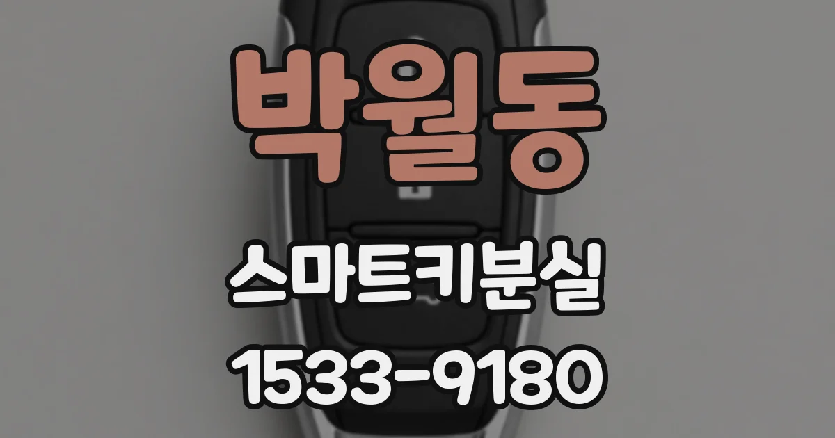 박월동 스마트키분실