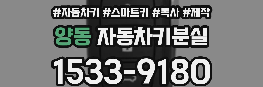 양동 자동차키분실