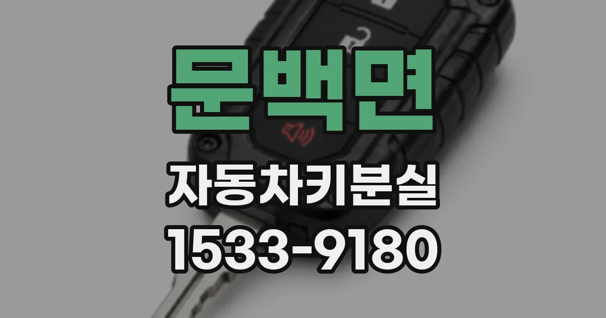 문백면 자동차키분실