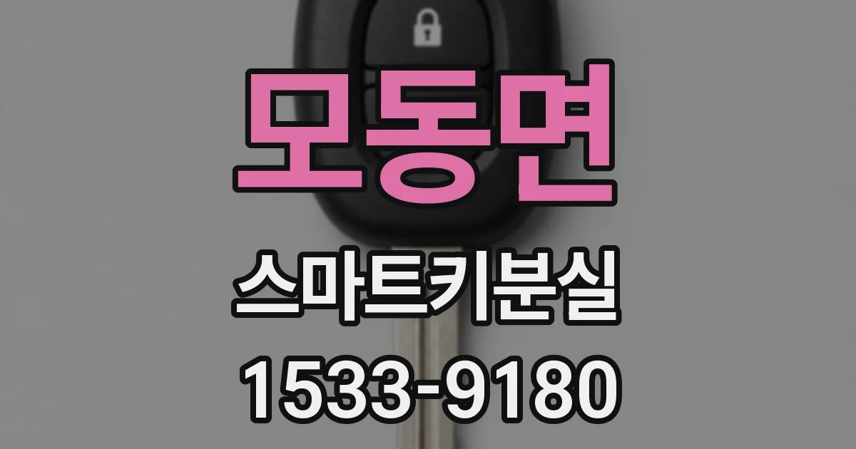 모동면 스마트키분실
