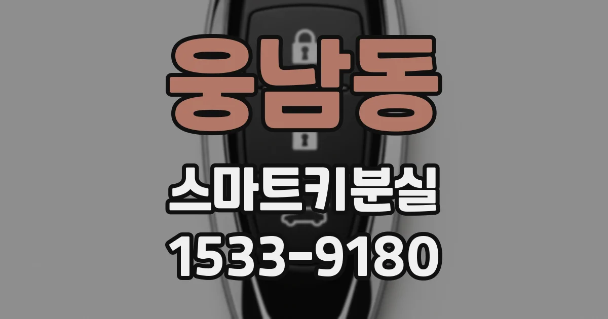 웅남동 스마트키분실