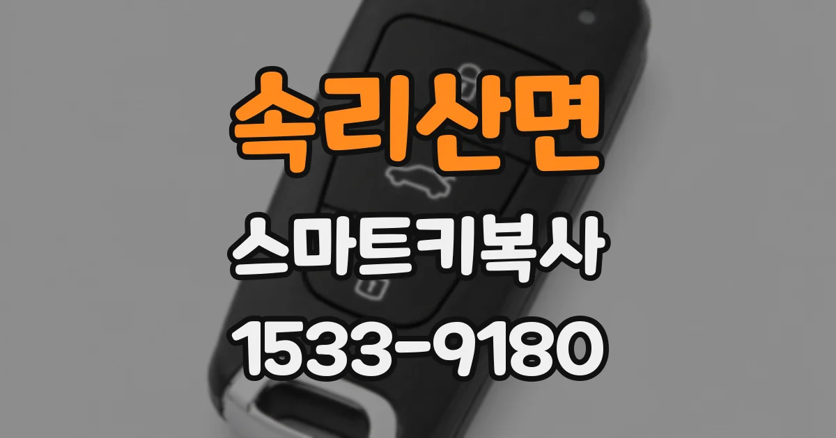 속리산면 스마트키복사