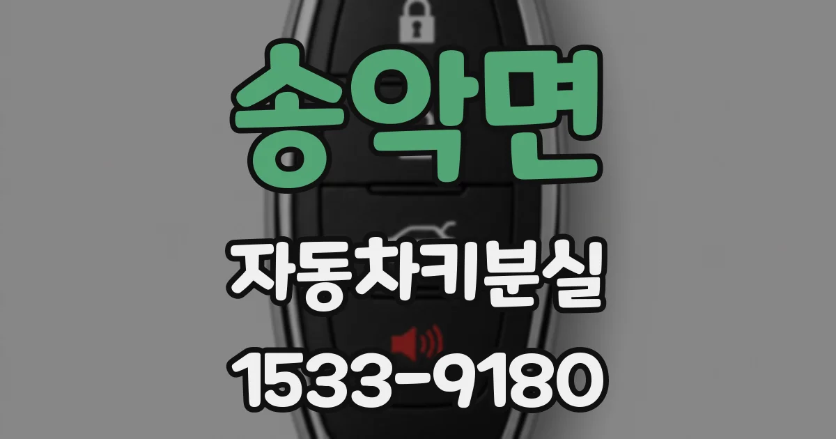 송악면 자동차키분실
