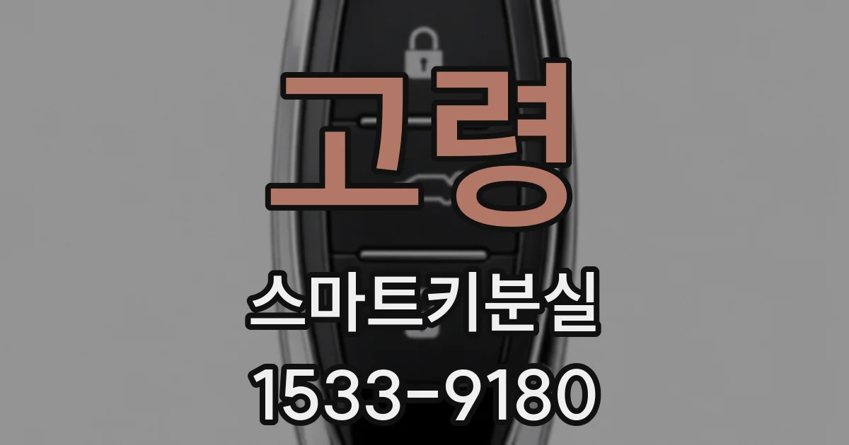 고령 스마트키분실