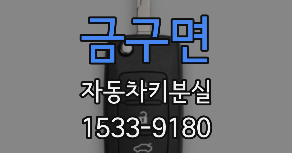 금구면 자동차키분실