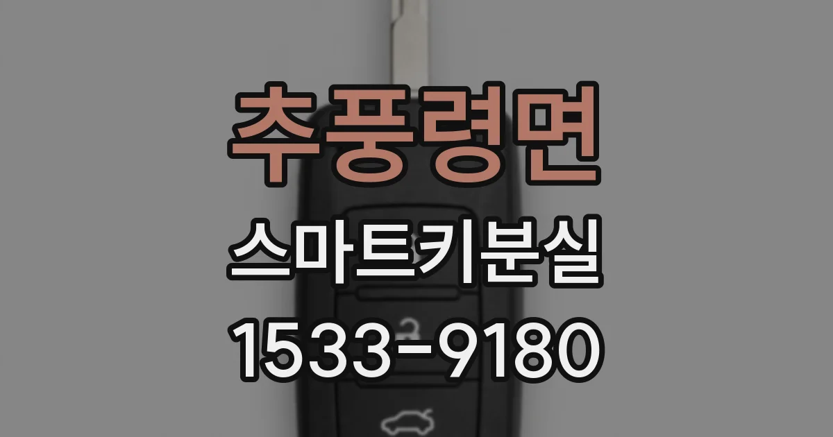 추풍령면 스마트키분실