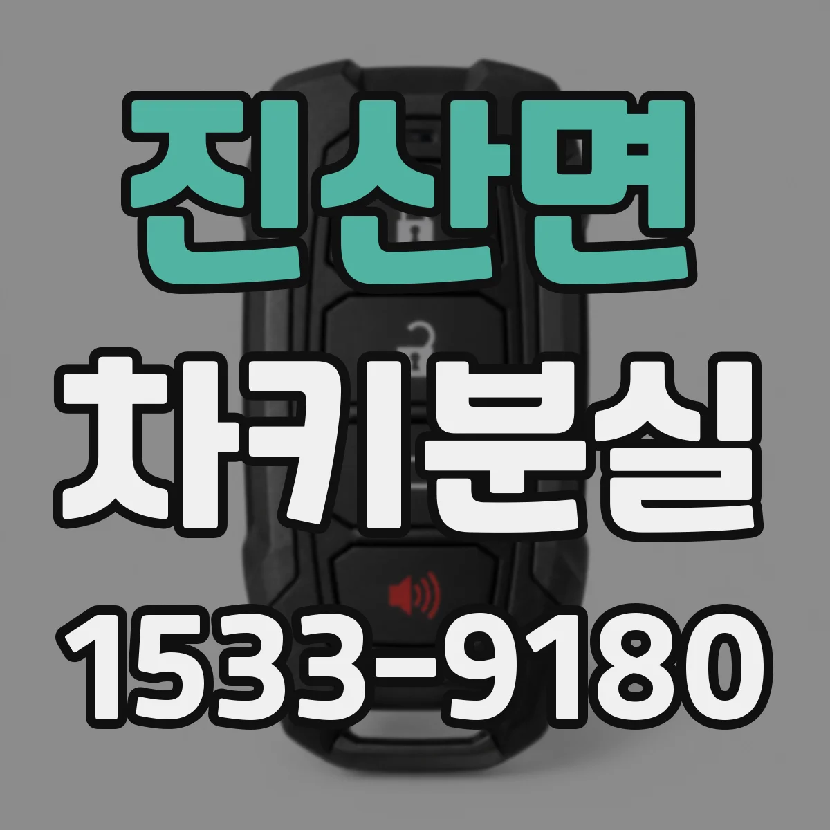진산면 차키분실
