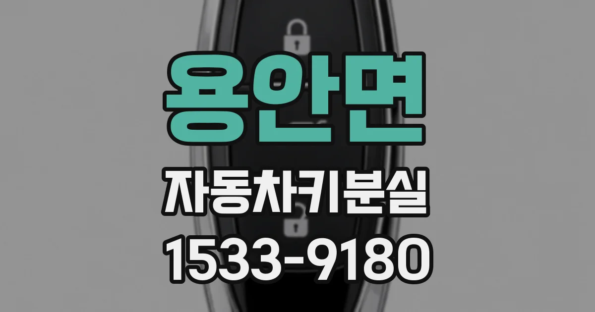 용안면 자동차키분실