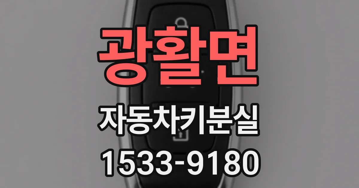 광활면 자동차키분실