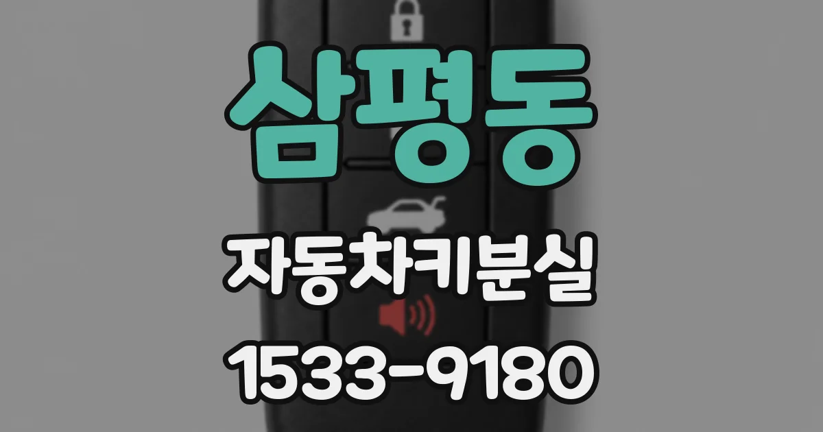 삼평동 자동차키분실