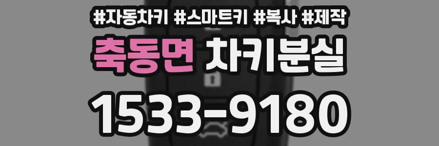 축동면 차키분실