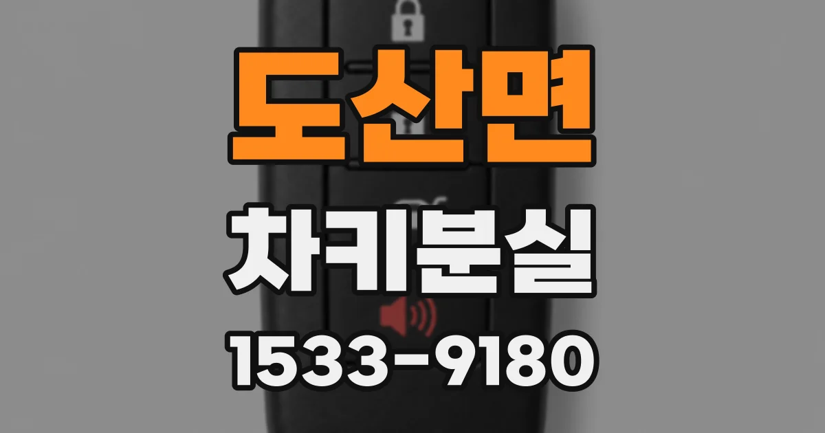 도산면 차키분실