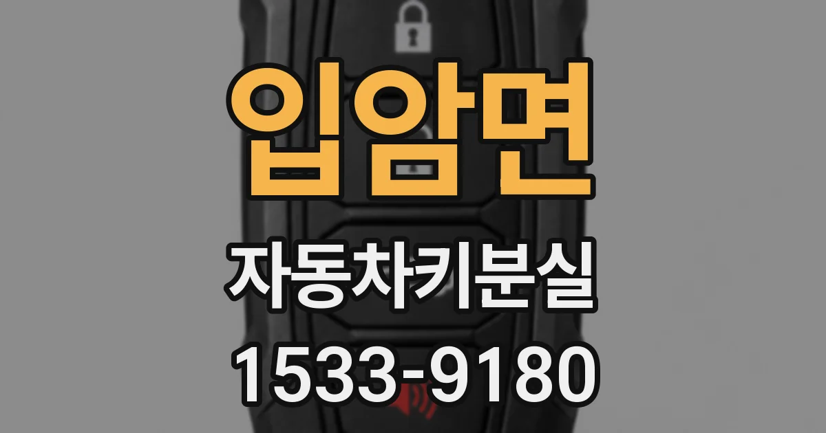 입암면 자동차키분실