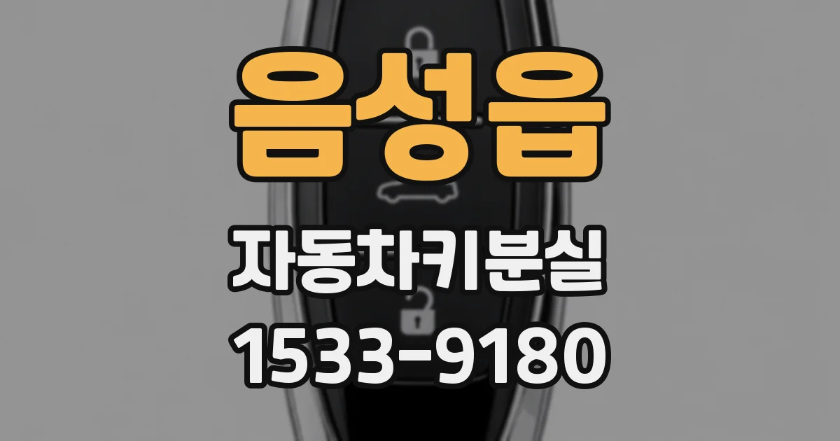 음성읍 자동차키분실