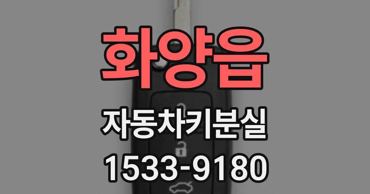 화양읍 자동차키분실