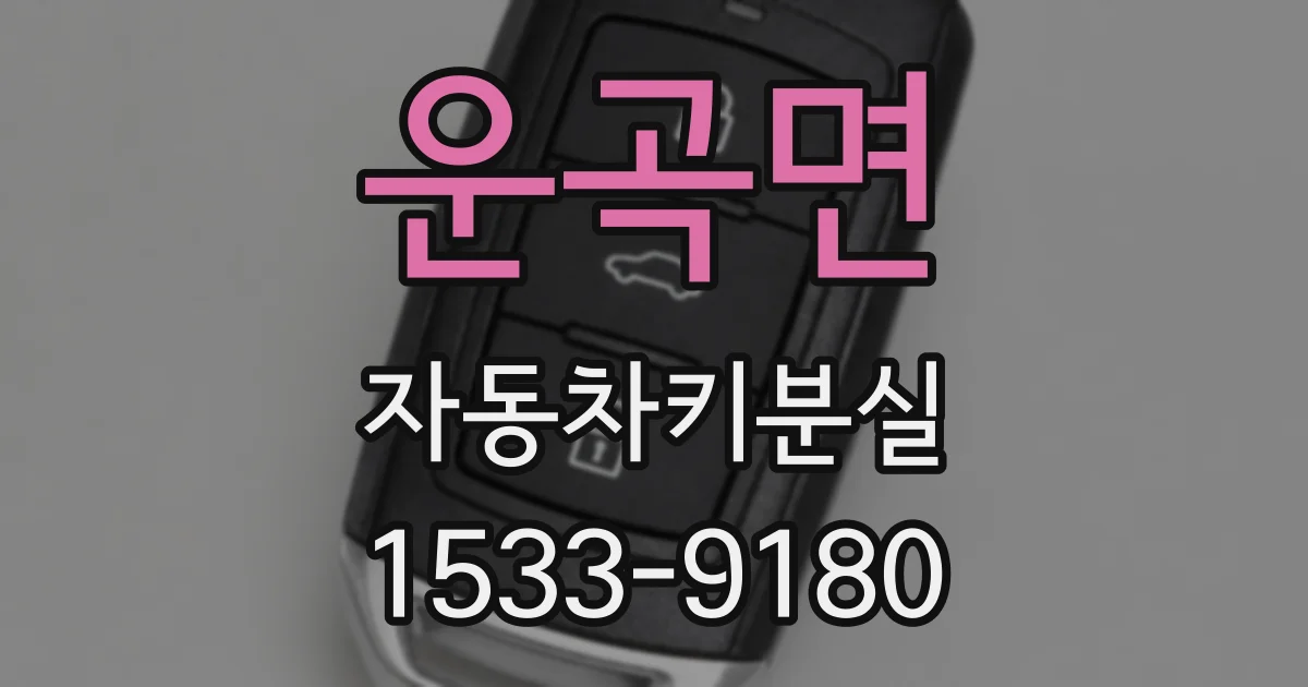 운곡면 자동차키분실