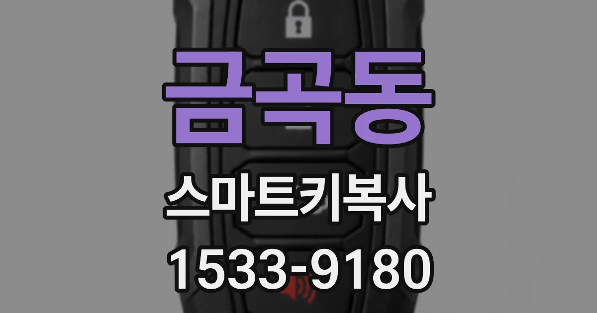 금곡동 스마트키복사