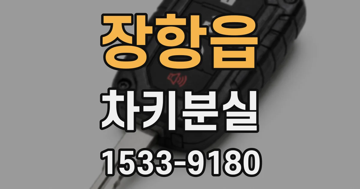 장항읍 차키분실