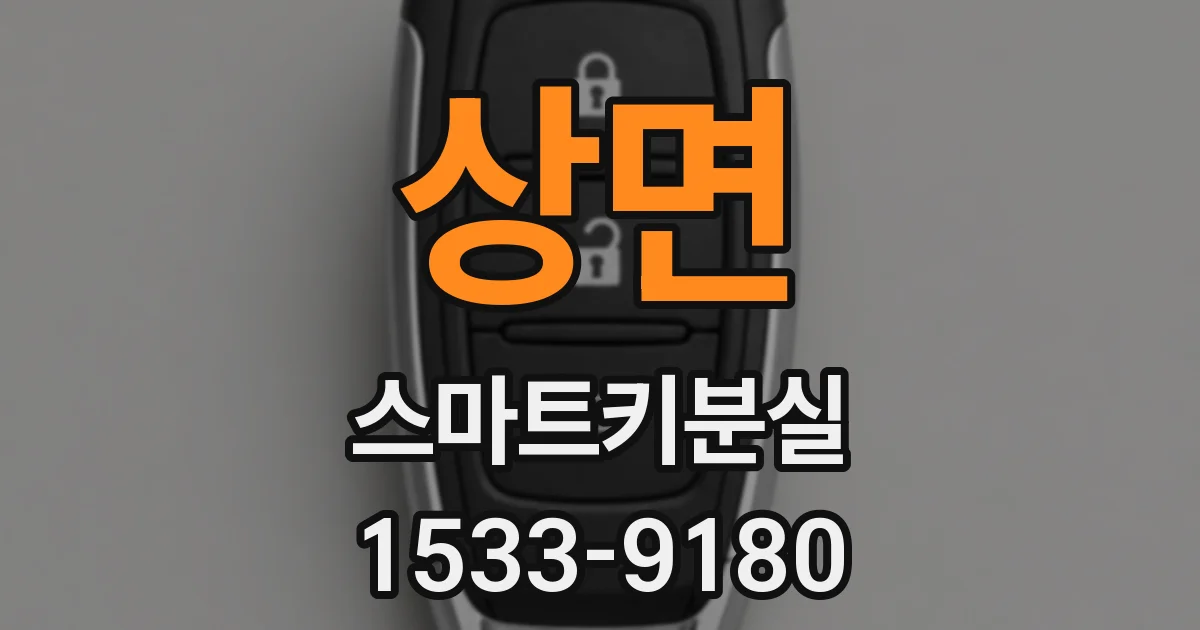 상면 스마트키분실