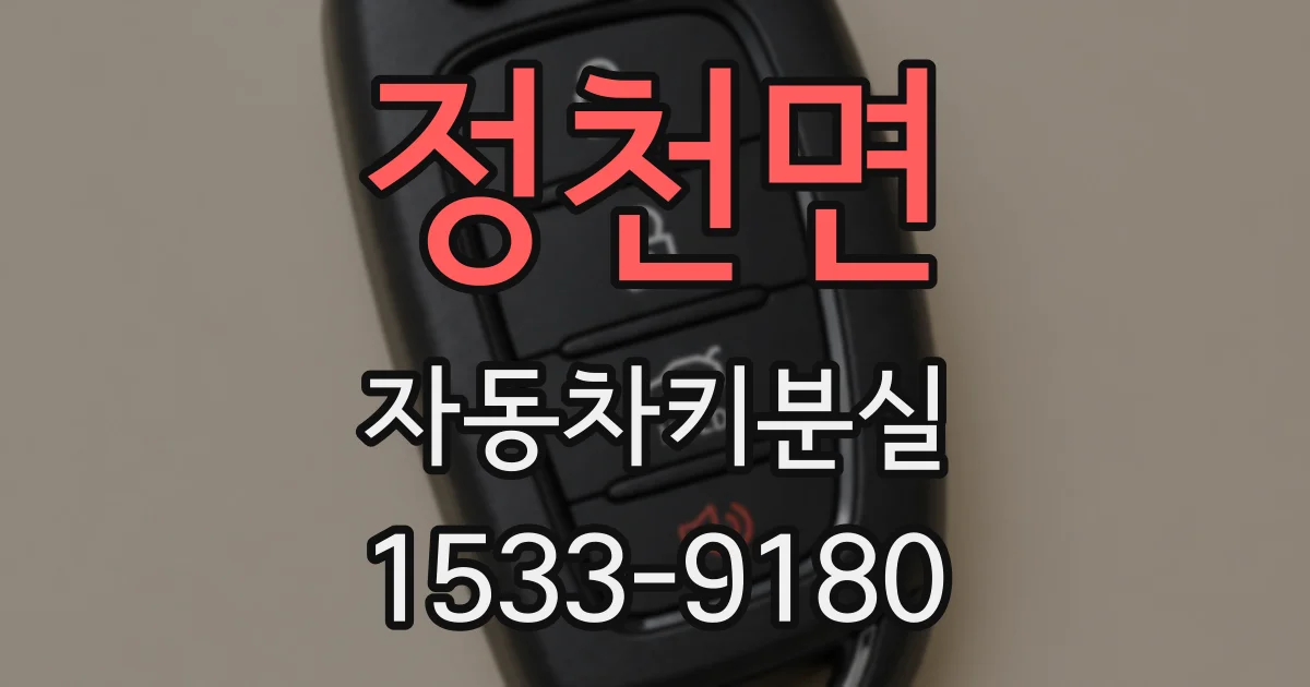 정천면 자동차키분실