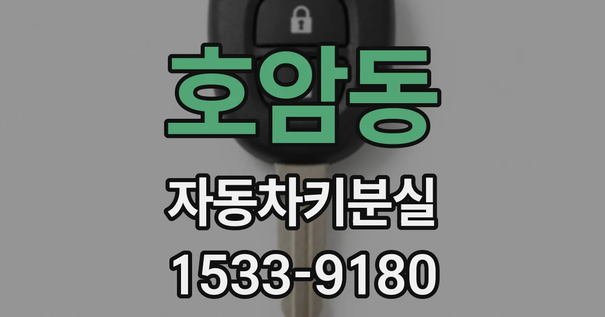 호암동 자동차키분실