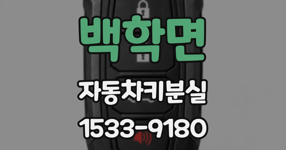 백학면 자동차키분실