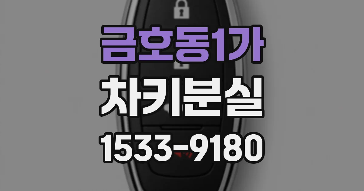 금호동1가 차키분실