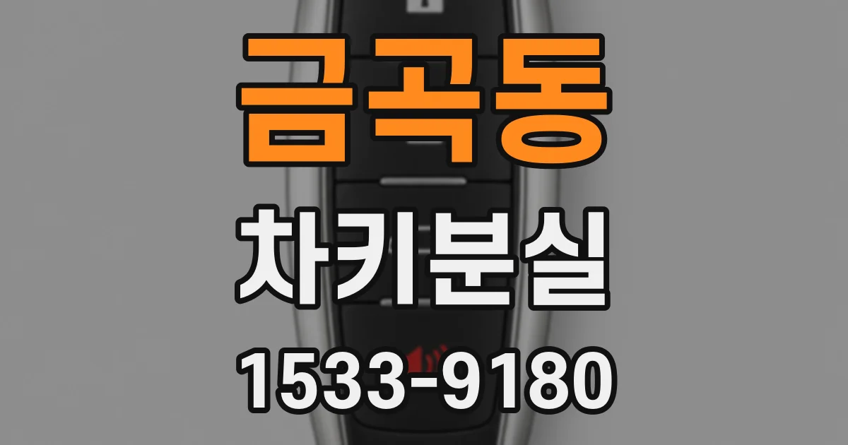 금곡동 차키분실