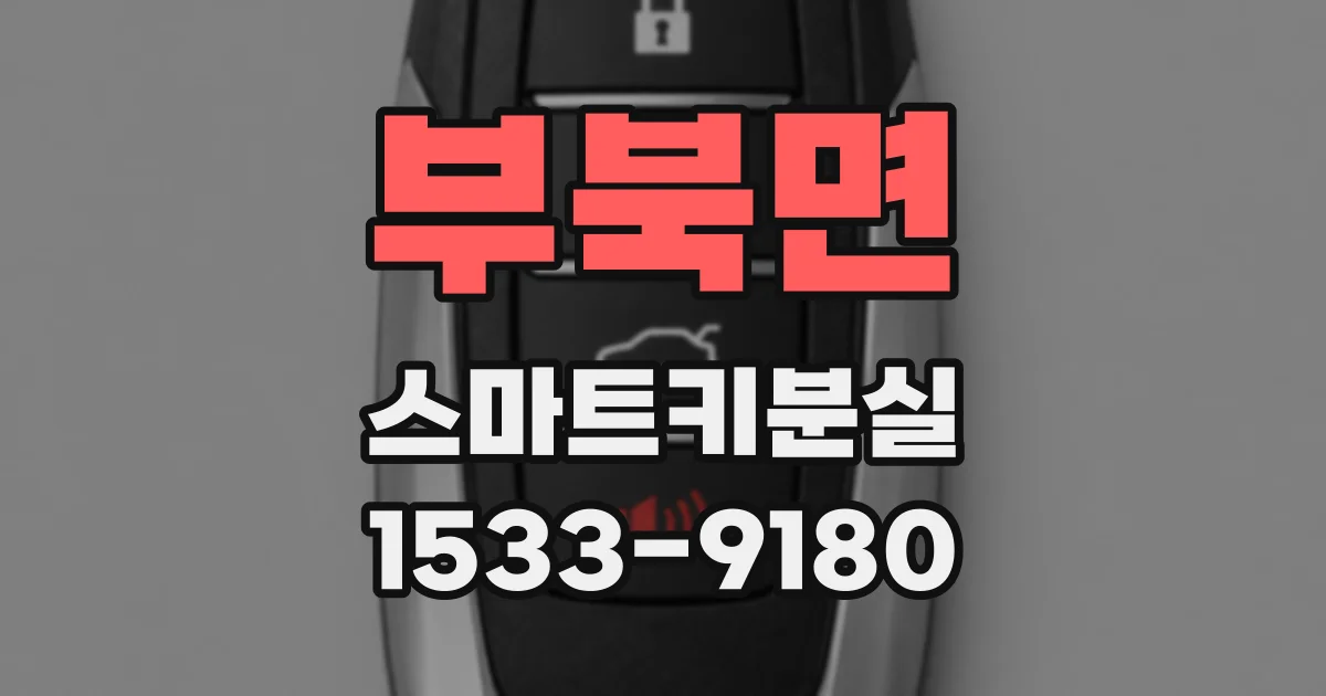 부북면 스마트키분실