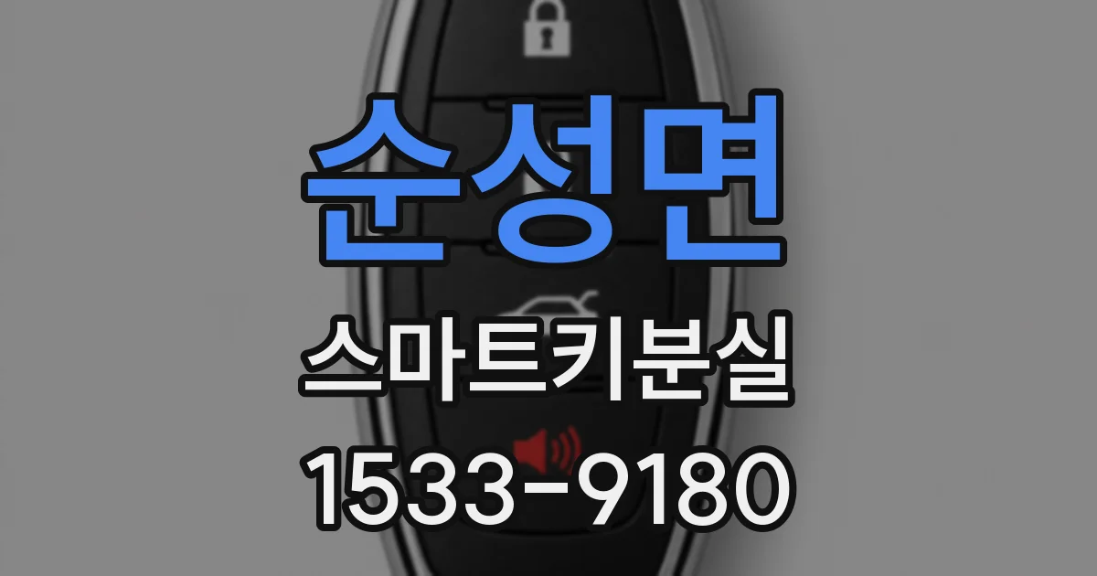 순성면 스마트키분실