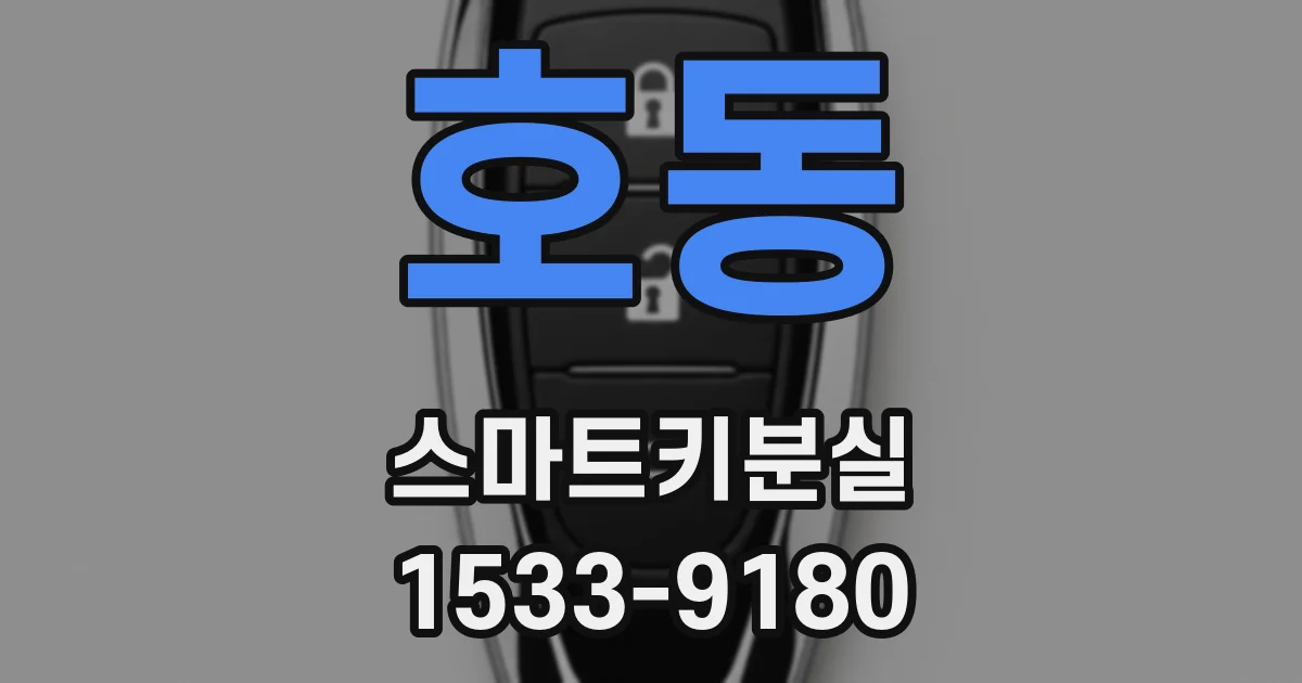호동 스마트키분실