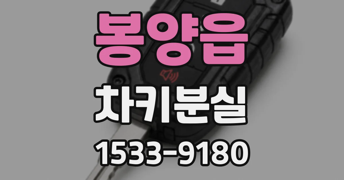 봉양읍 차키분실