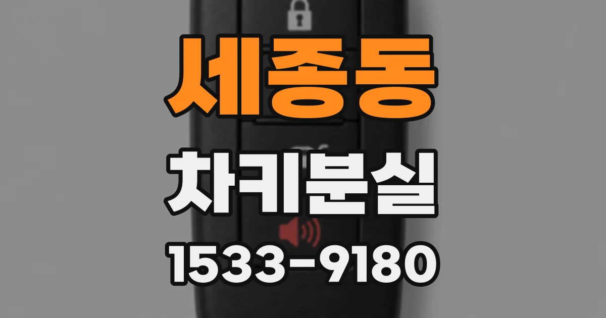 세종동 차키분실