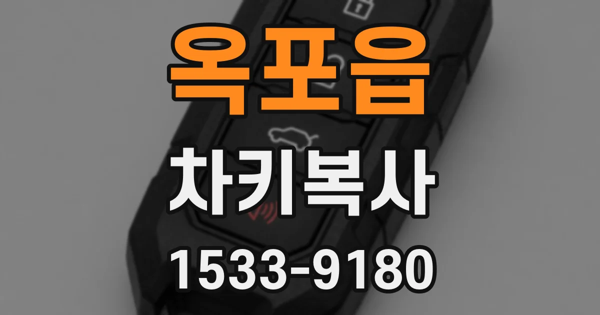 옥포읍 차키복사