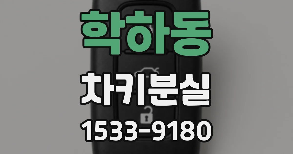 학하동 차키분실