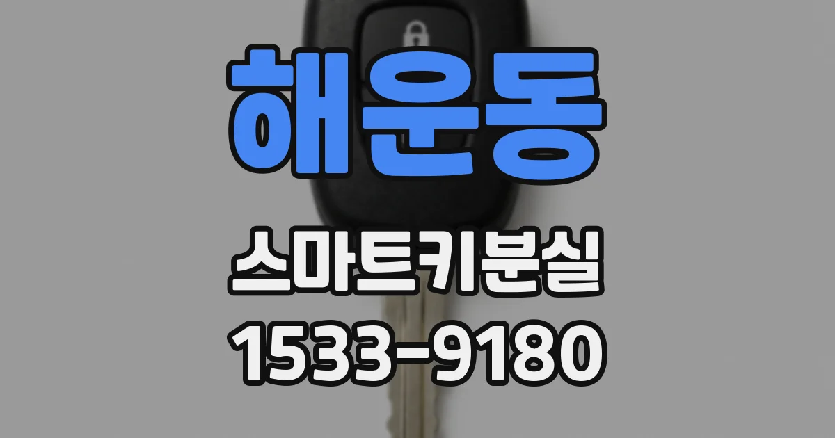 해운동 스마트키분실