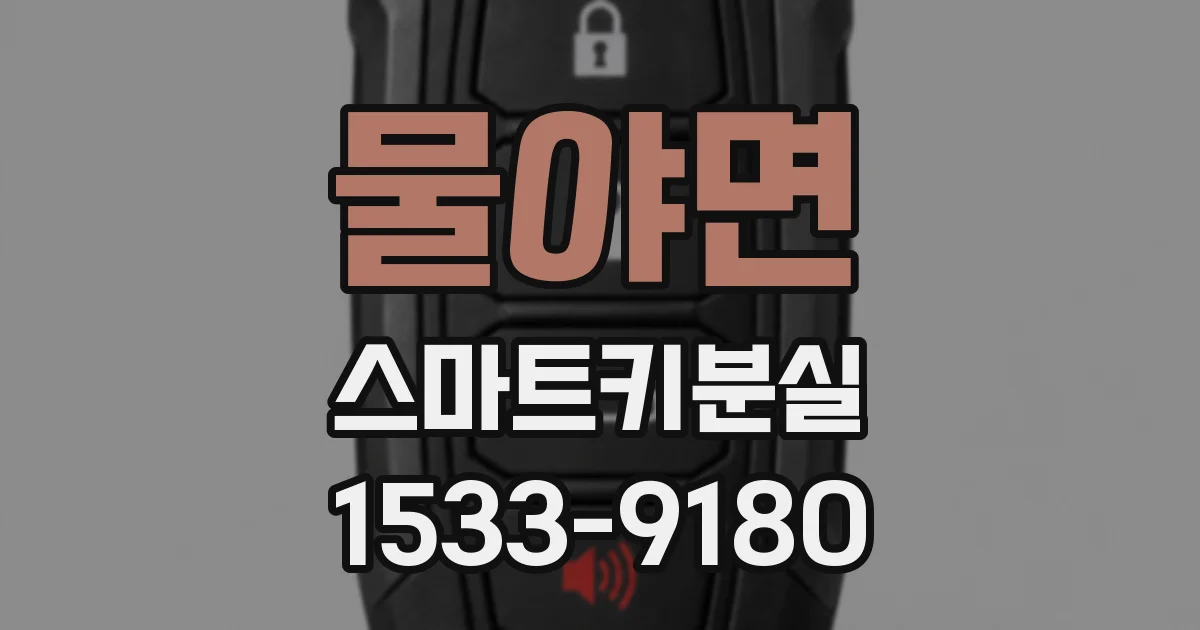 물야면 스마트키분실