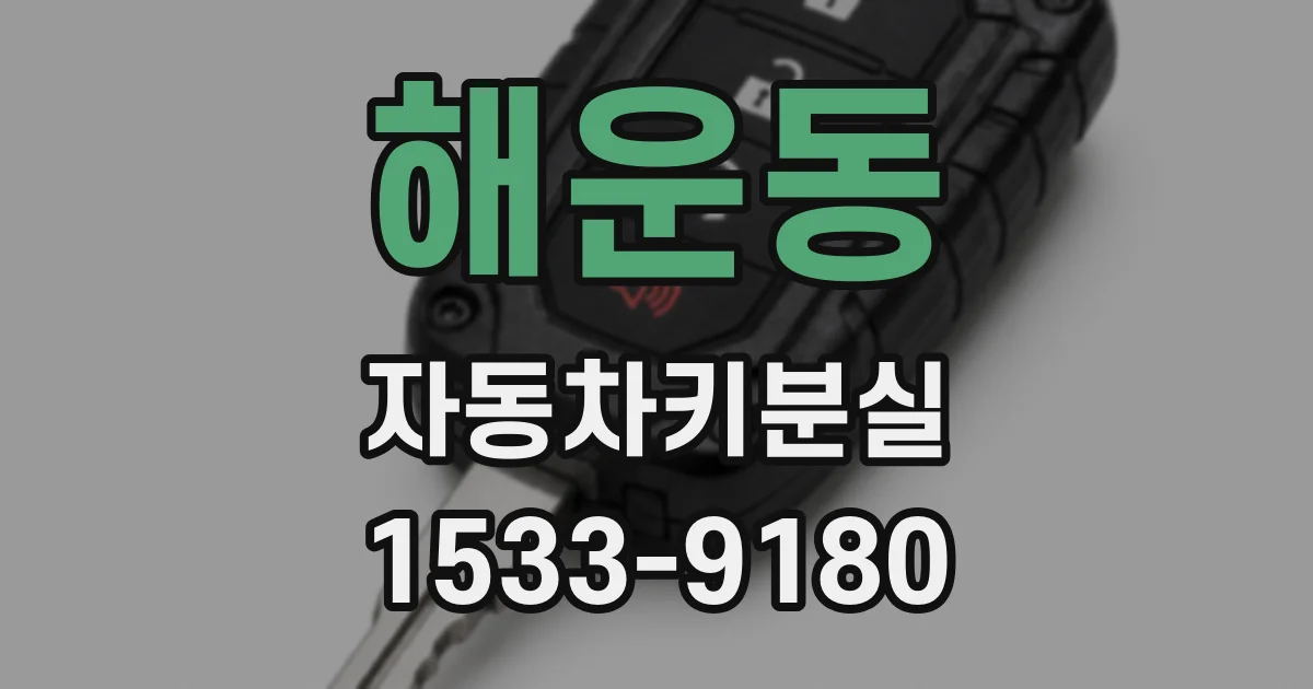 해운동 자동차키분실