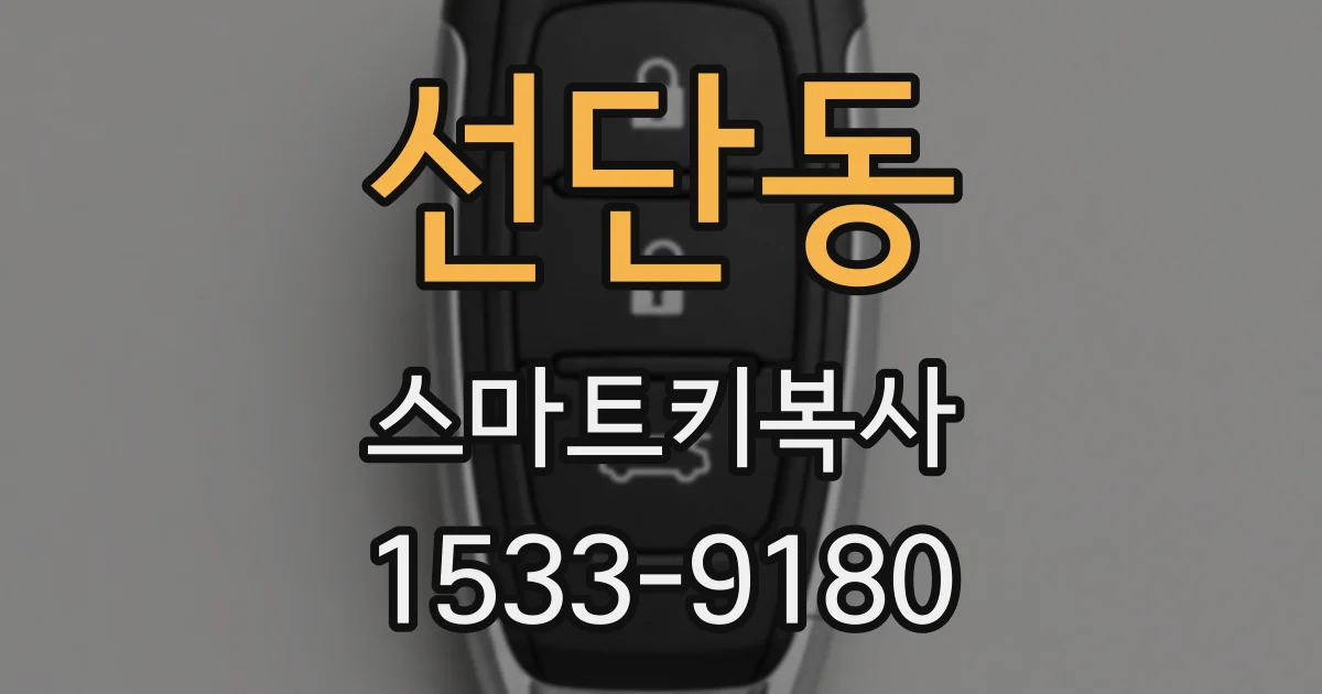 선단동 스마트키복사