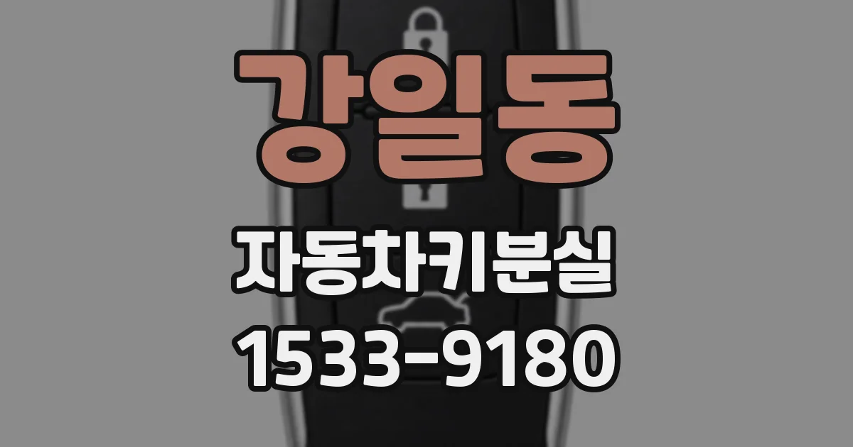 강일동 자동차키분실