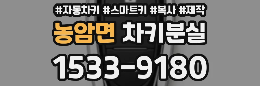 농암면 차키분실