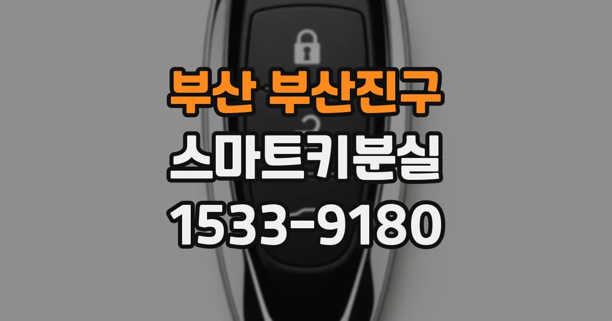부산 부산진구 스마트키분실