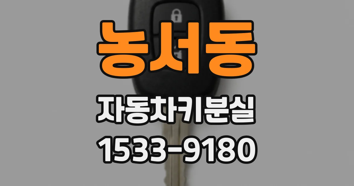 농서동 자동차키분실