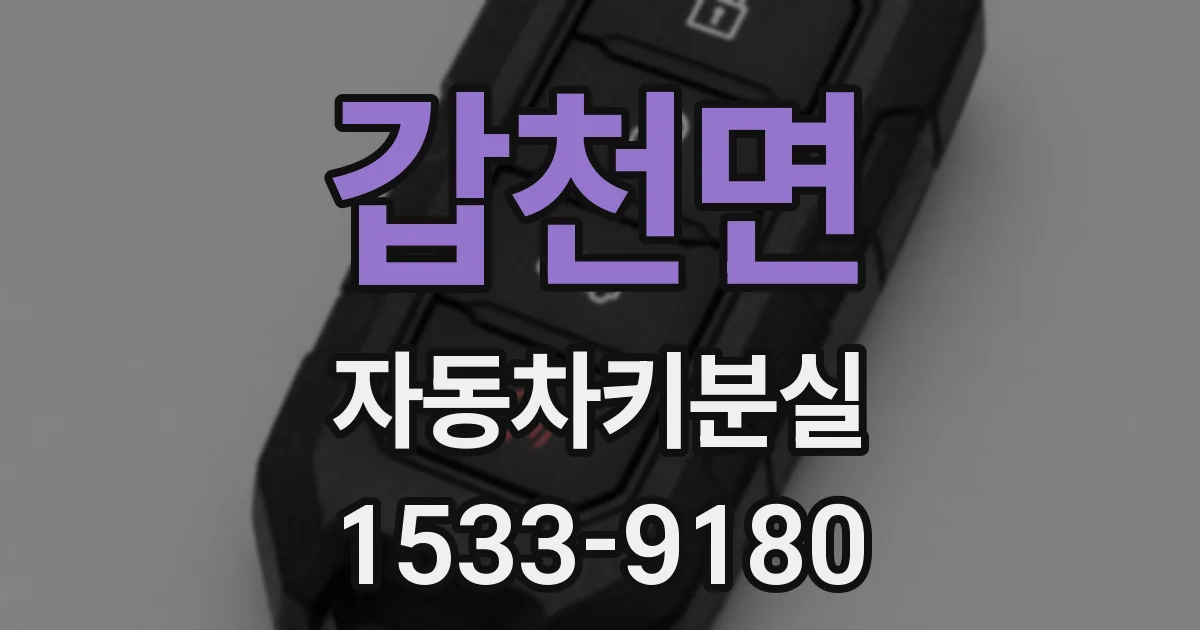 갑천면 자동차키분실