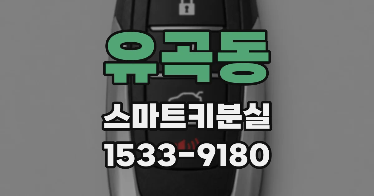 유곡동 스마트키분실