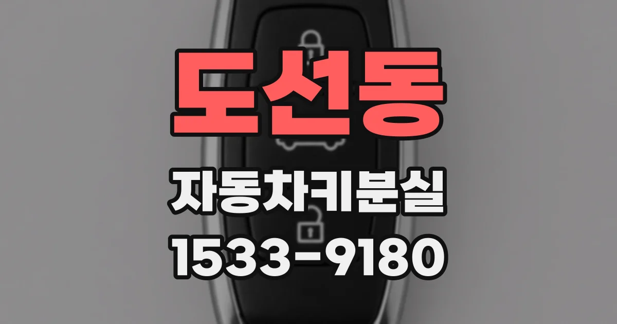 도선동 자동차키분실